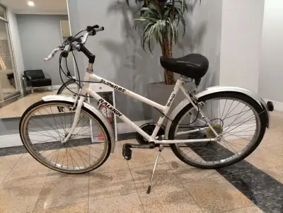 ‍♀️ Raleigh Superbe 26” Bike, View more