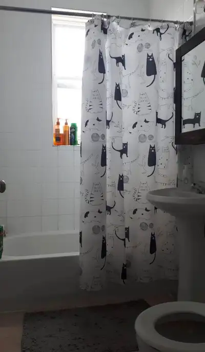 Chambre de collocation à louer à deux pas de la stations Snowdon