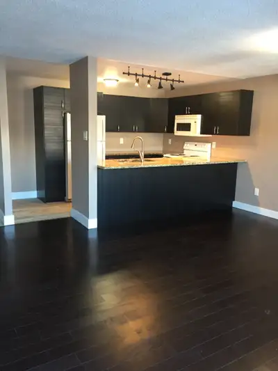 Amazing 2 Bedroom Condo!