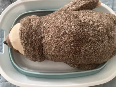 Sloth Heartbeat Toys., View more