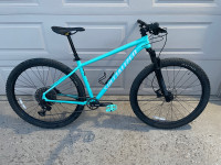 2022 Specialized Rockhopper 29”