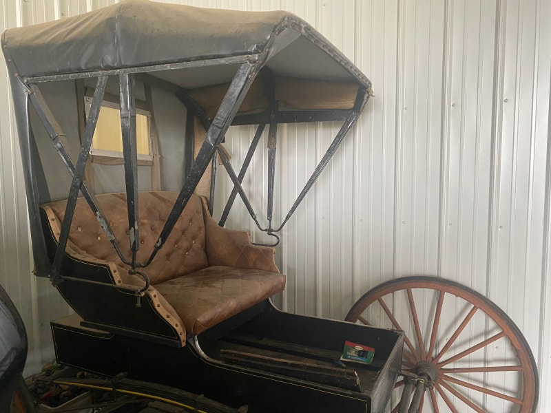 Horse drawn Doctor carriage Equestrian & Livestock Accessories