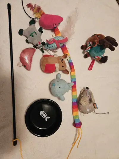 cat toys, View more