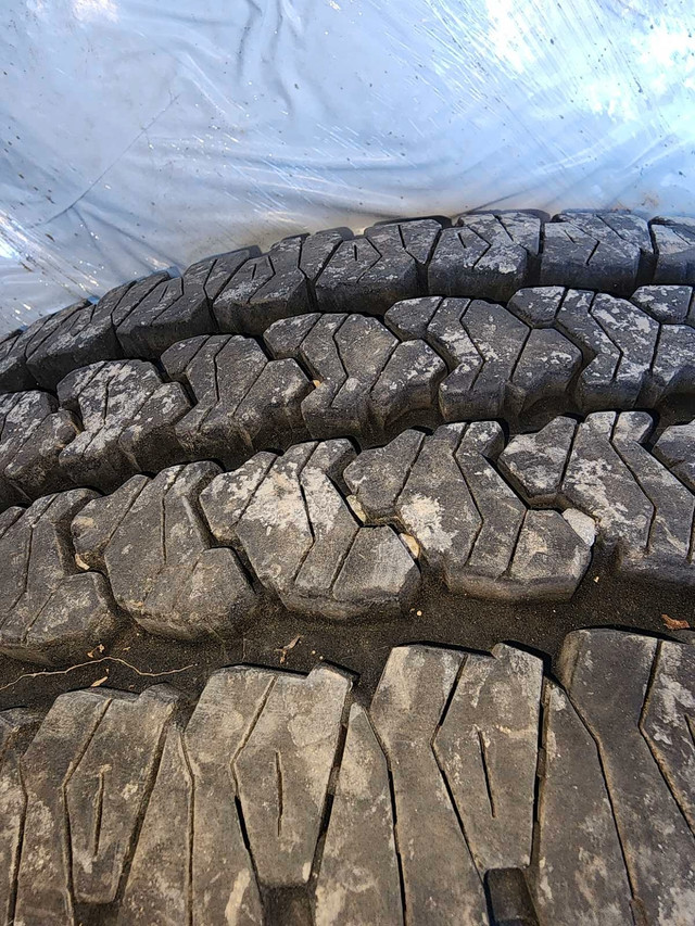 235/80 r17 Firestone Transforce AT2 in Tires & Rims in Prince George - Image 3