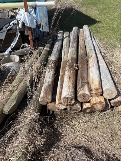 Approximately 20 fence posts. Pickup 20 miles north of Saskatoon just off hiway #12. $30 for all.