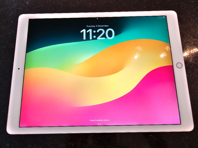 IPad Pro 12.9 inch (2nd Gen) + Apple pencil dans iPad et tablettes  à Sherbrooke