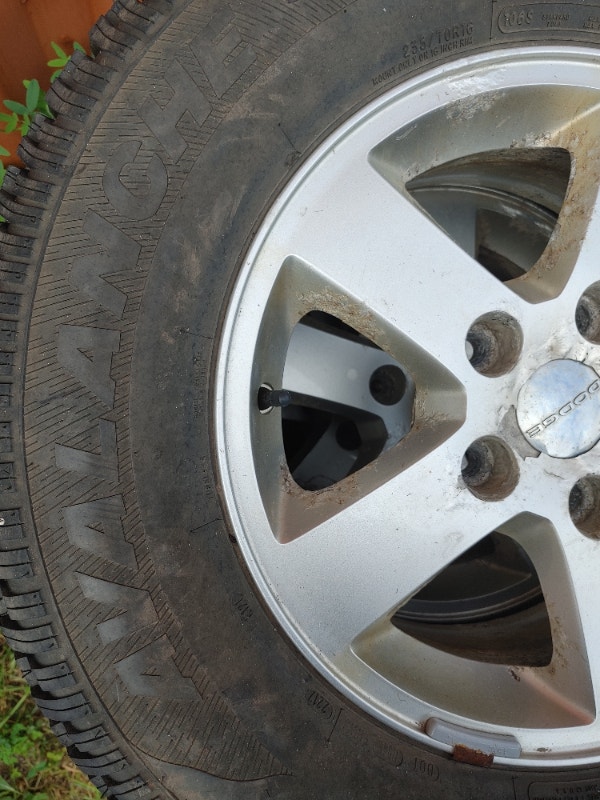 les tropeziennes cloutees