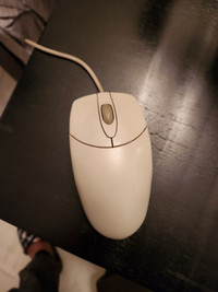 Computer Mouse