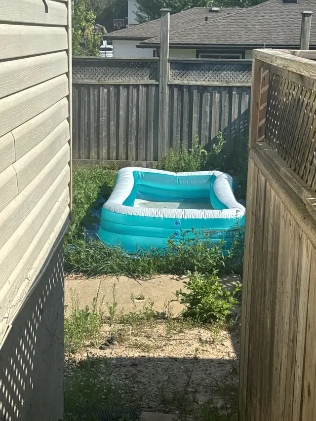 room for rent in Kitchener avail immediately in Room Rentals & Roommates in Cambridge - Image 4