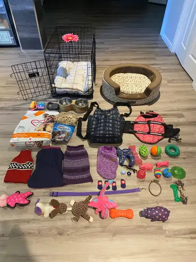 Accessoires pour chien, View more