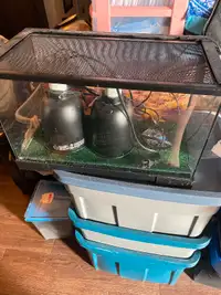 Free 10 gallon reptile tank and lights