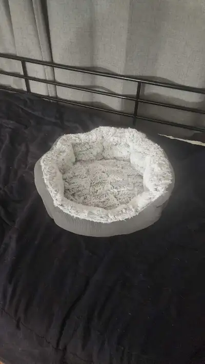 condition new. my cats never used it. I had it for 2 years. pick up in pineridge call or text 587-83...