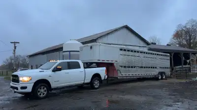 livestock trucking, View more