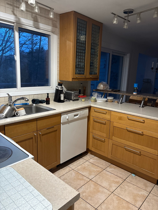 Summer in the Gatineau Hills in Room Rentals & Roommates in Gatineau - Image 4