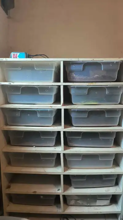 14 Bin Snake Rack, View more
