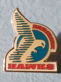 English hockey club Humberside Hawks lapel pin