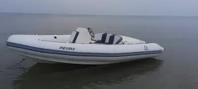 Very rare Canadian built Zodiac. 115hp 2 stroke oil injected OMC turbo jet drive, 5 seater, Fast, sa...