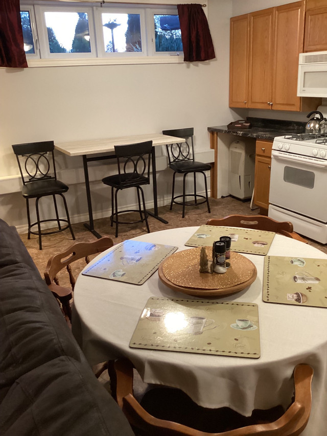 Long or short term bachelor apartment weekly  $350. in Long Term Rentals in Sarnia - Image 2