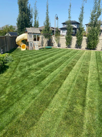 $60 Gutter Cleaning & $20 Lawn Mowing($80 monthly)