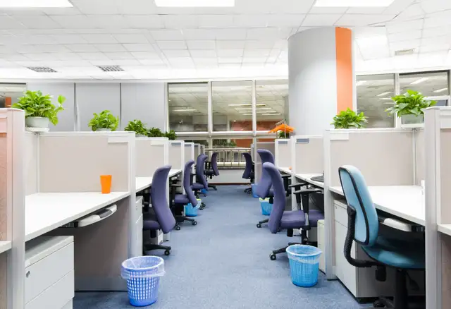 cleaning service