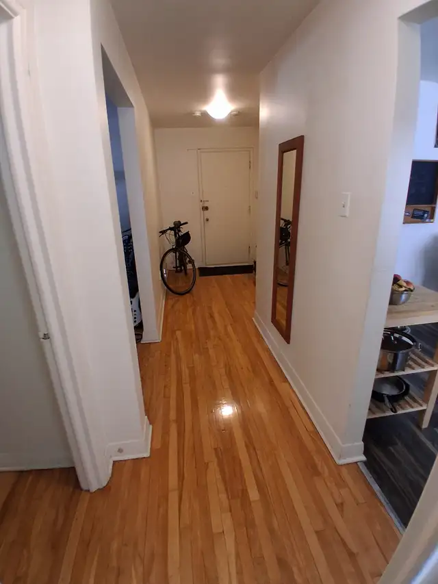 Verdun 3 1/2 Lease Transfer Dec 1st - Aug. in Long Term Rentals in City of Montréal - Image 6