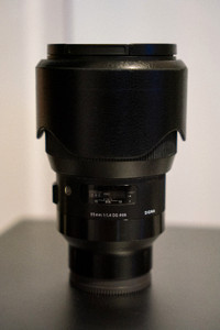 Sigma 85mm F1.4 Sony E-Mount