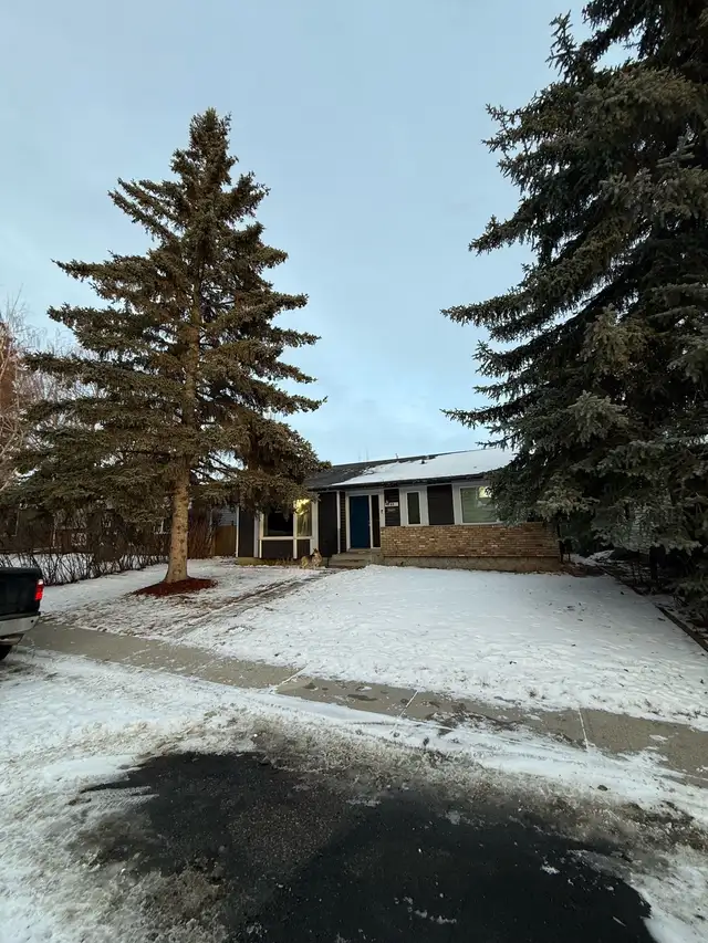 cozy main floor house for rent MARCH 15th