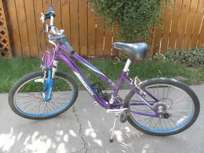 Schwinn Mountain Bike, View more