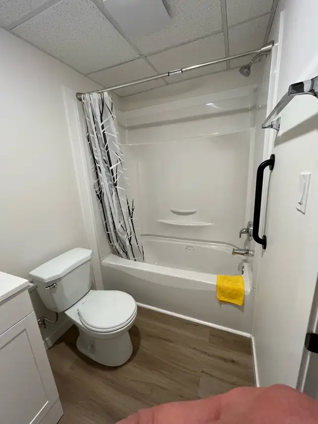 Handyman & Home Renovation Services553848912405473282