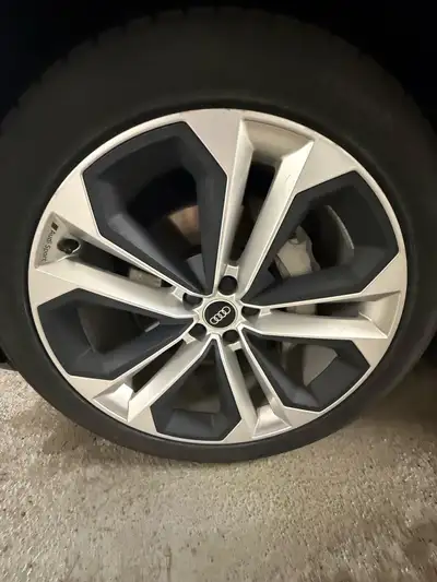 Snowgripper winter tires, bought in dec 2024. Great traction, lots of tread left on the tire because...