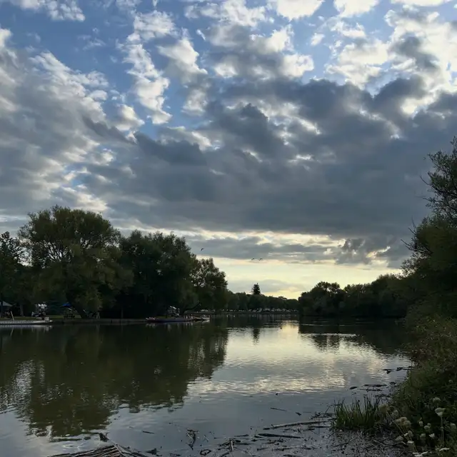 Midsummer Forest Immersion Experience – Stratford, Ontario548862839122841602