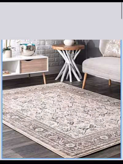 Brand new sealed nuLOOM Alexandria Vintage Persian Area Rug, 5' x 8', Cream Pick up in BURLINGTON….....