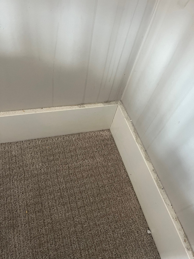 Mother’s Day  cleaning, 10%off - Edmonton in Cleaners & Cleaning in Edmonton - Image 4