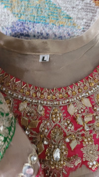 Large size Pakistani/Indian Women's clothing