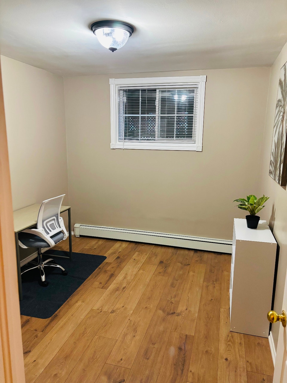 Apartment for Rent for Fall and Winter Semester 5