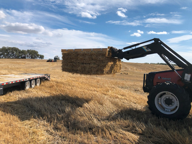 small square bales of straw in Livestock in Red Deer - Image 2