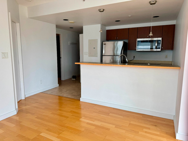 $2700 for 2  beds 1 bath Available now  downtown Victoria in Long Term Rentals in Victoria - Image 4