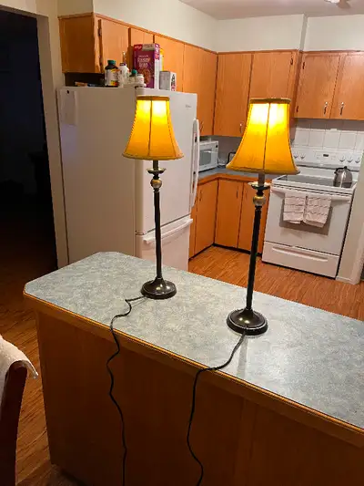 2 metal lamps for sale. Very good condition. $10 each or both for $15. Located in Innisfail.