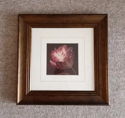 Floral Artwork with Thick Wood Frame, View more