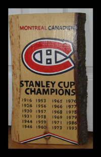 montreal canadiens stanley cup champions