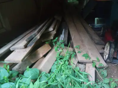 Free wood, View more