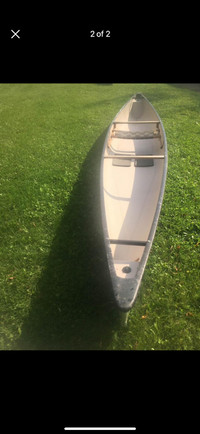 Swift Shearwater Canoe