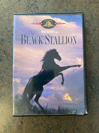The Black Stallion!  DVD GUC!