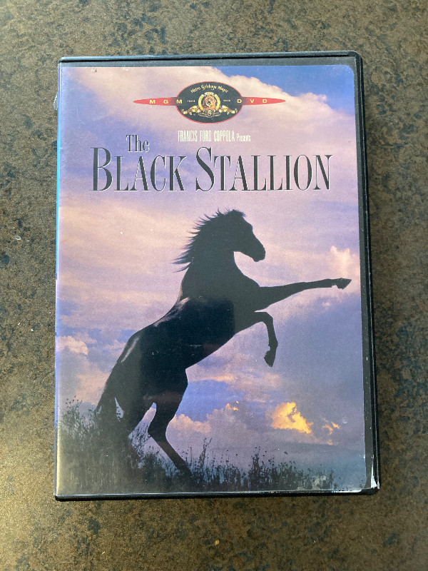 The Black Stallion!  DVD GUC! in CDs, DVDs & Blu-ray in Calgary