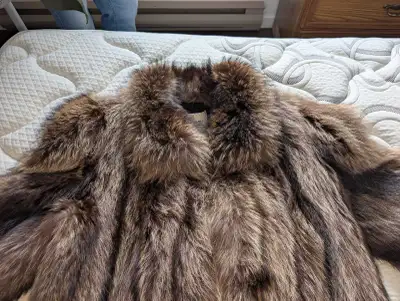 manteau de fourrure en raton-laveur, View more