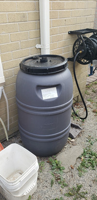 Rain Barrel