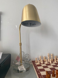 Study Lamp for Home or Office