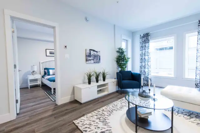 1br July 1st or Sept 1st North End Halifax628657152963851217