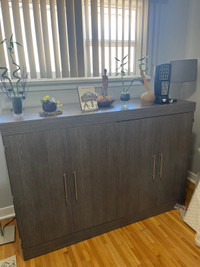 Cabinet/Folding Bed 