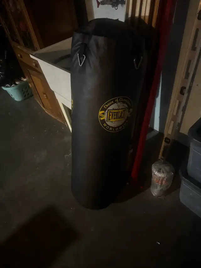 punching bag 65702477692418120